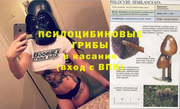 винт Алзамай