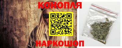 крисы Можга
